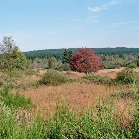 Διαμέρισμα Zur Altstadt
