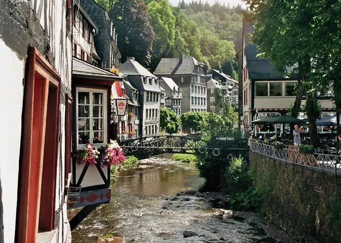 Zur Altstadt 公寓 *