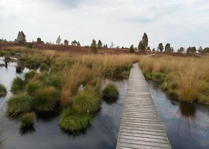 Zur Altstadt 公寓 蒙绍