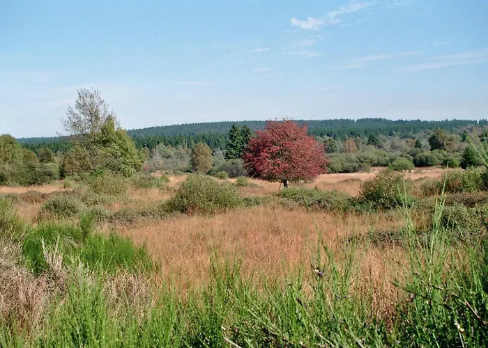 Διαμέρισμα Zur Altstadt